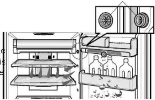 Technical line drawing of a refrigerator with labeled components and internal structure (no text or symbols)