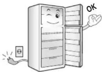 LG GTF3025GBX - When using the refrigerator - 3