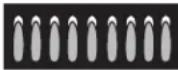 GE Profile PGP990DENWW - CONVERTING BACK TO NATURAL GAS - 3