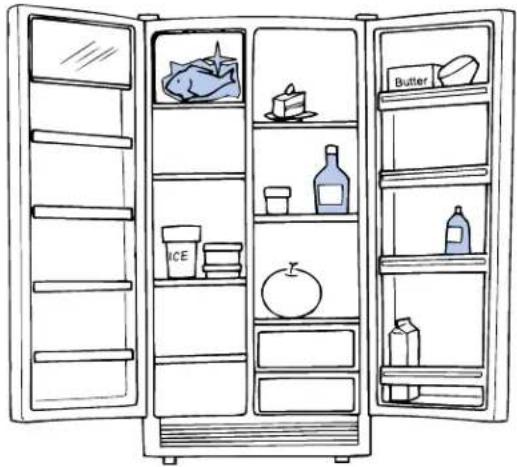 GE Profile TPJ24PRDWW - STORAGE OF FOOD - 1