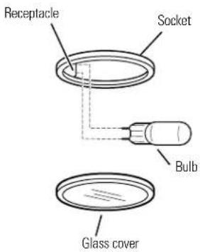 Receptacle Socket Bulb Glass cover