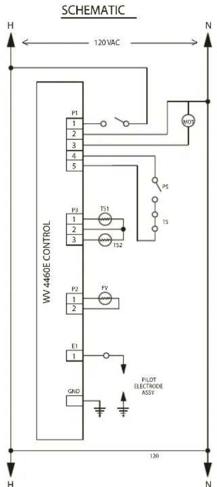 GE GP50T06TVT - Wiring - 2