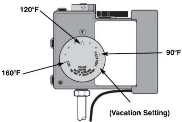 GE GP50T06PVJ - WARNING: Should overheating occur or the gas supply fail to shut off, turn off the manual gas control valve to the appliance. - 1