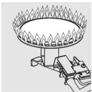 GE GP50T06PVJ - Venting System Inspection - 1