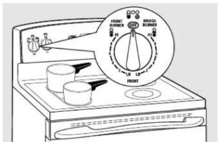 GE Profile JB968BHBB - Using the Bridge Burner (on some models) - 1