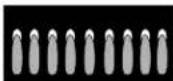 GE Profile JGP990WELWW - WARNING: DO NOT USE A FLAME TO CHECK FOR GAS LEAKS. - 3