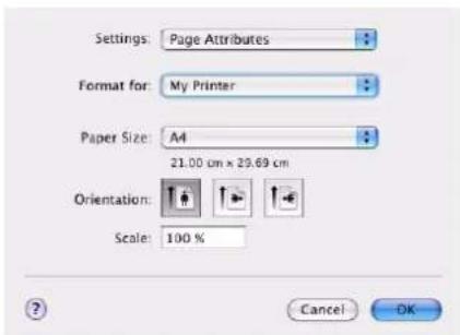 OKI C821dn - PAGE SETUP OPTIONS - 1