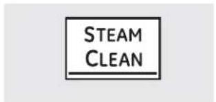 STEAM CLEAN
