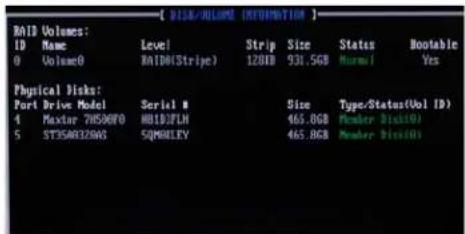 ECS P55H-A SLI - Creating a RAID set - 8
