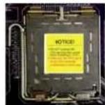 ECS G41T-M8 - CPU Installation Procedure - 1