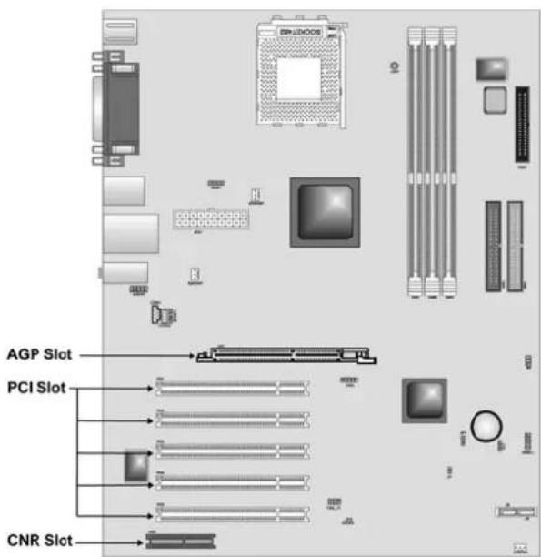 AGP Slot PCI Slot CNR Slot