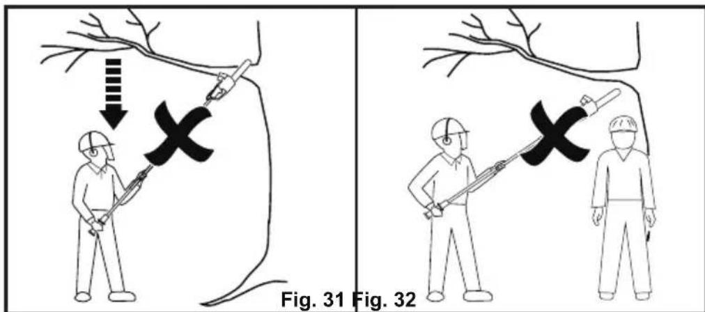 LawnMaster CLPS4008K - Pruning (Fig. 29-30) - 3