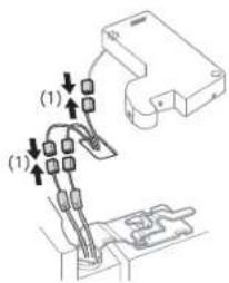 (1) (1)