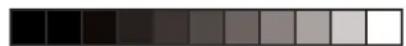 CLARION OHM1575VD - The picture is blurred - 1
