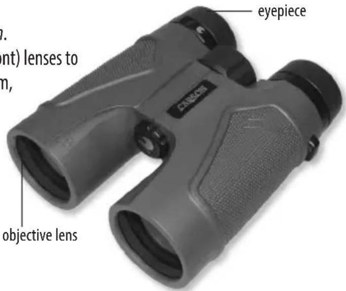 eyepiece (ent) lenses to m, objective lens