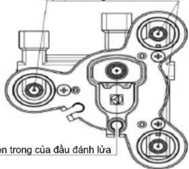 n trong của dàu đánh lùa