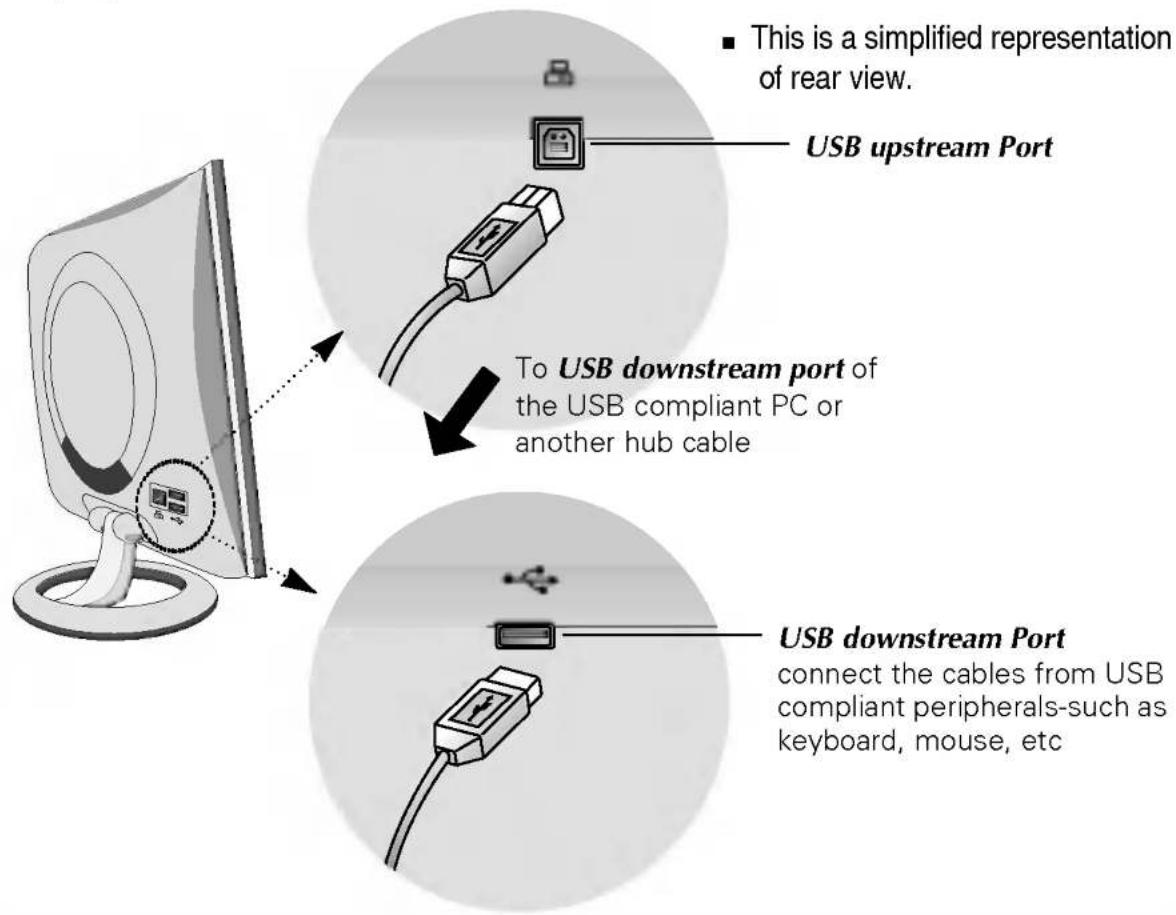 LG L1920PF - USB connection - 1