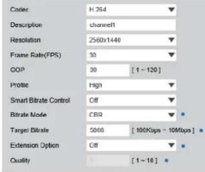 Digital Watchdog MegaPix CaaS DWC-MB44WI650C1 - Video Configuration - 2