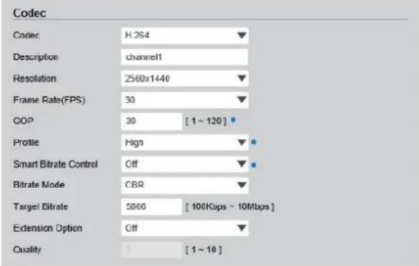 Digital Watchdog MegaPix CaaS DWC-MB44WIAC1 - VIDEO CONFIGURATION - 1