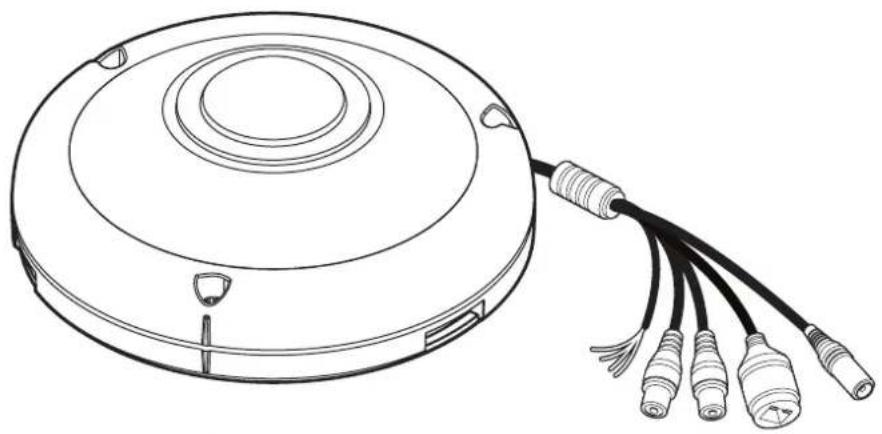 Digital Watchdog MegaPix Pano DWC-PVF9DI2TW - Introduction - Product and Accessories - 1