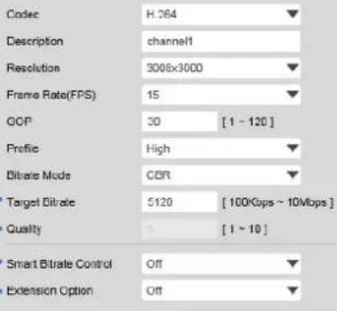 Digital Watchdog MegaPix Pano DWC-PVF9DI2TW - Video Configuration - 1