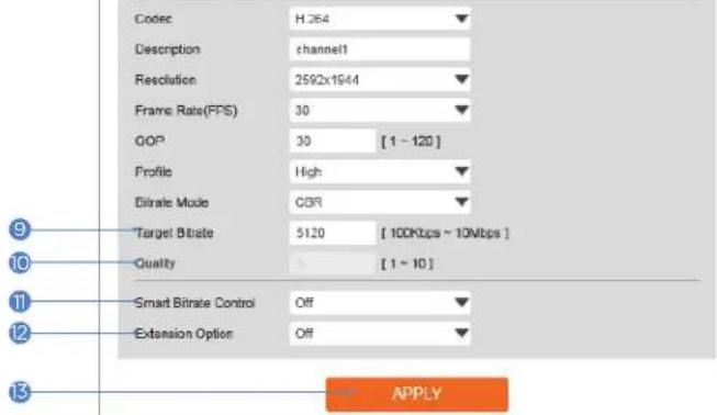 Digital Watchdog MegaPix DWC-MVA5WI28T - Video Configuration - 2