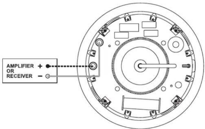 AMPLIFIER + OR RECEIVER -