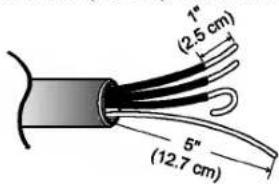1" (2.5 cm) 5" (12.7 cm)