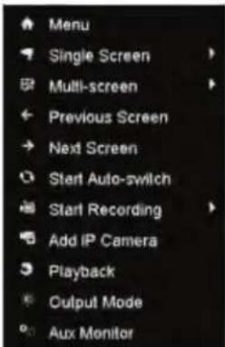 Menu Single Screen Multi-screen Previous Screen Next Screen Start Auto-switch Start Recording Add IP Camera Playback Output Mode Aux Monitor