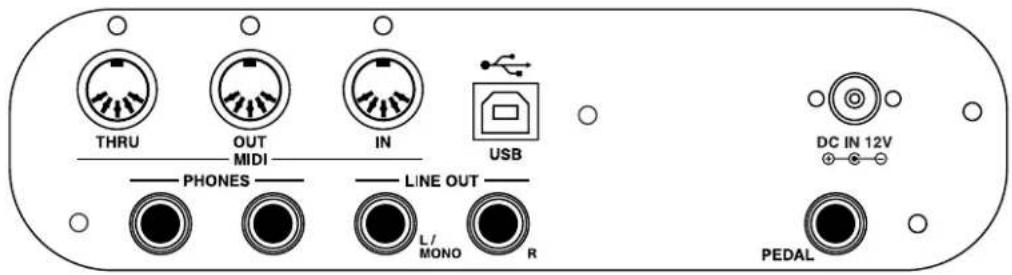 KAWAI CA-X - JACKS - 1