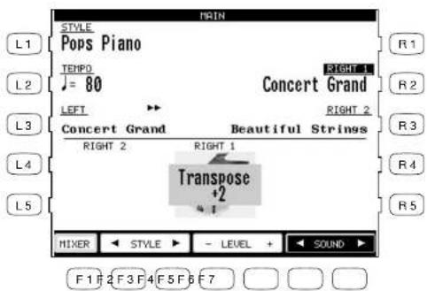 KAWAI Concert Performer CP117 - RIGHT1 RIGHT 2 LEFT INDICATOR - 2