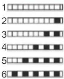 Godrej DWF EON VES 12U NF STSL - Test Strip - 5
