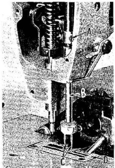 Union Special 52300F - SETTING THE BACK LOOPER (401 Stitch) - 1