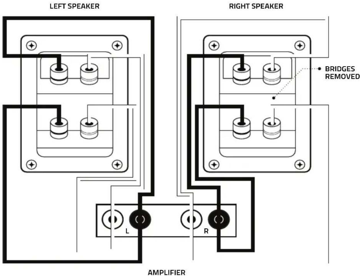 LEFT SPEAKER RIGHT SPEAKER BRIDGES REMOVED L R AMPLIFIER