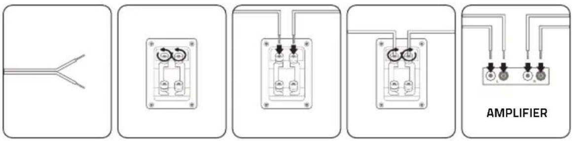 AMPLIFIER