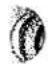 Union Special 150-6TS - PARTS FOR MODEL 150-16, 150-20 - 2
