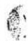Union Special 150-6TS - PARTS LIST FOR LEWIS CLASS 150 MACHINES - 3