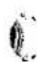Union Special 150-6TS - PARTS LIST FOR LEWIS CLASS 150 MACHINES - 5