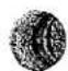 Union Special 150-6TS - PARTS LIST FOR LEWIS CLASS 150 MACHINES - 6