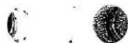 Union Special 150-6TS - PARTS LIST FOR LEWIS CLASS 150 MACHINES - 2