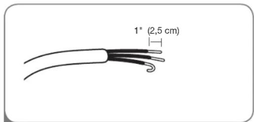 1" (2,5 cm)