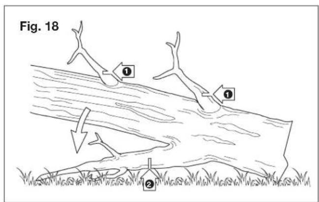 Sun Joe ION16CS-RM - - Limbing a tree - 1