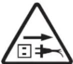 Sun Joe 24V-X2-JB500-RM - Safety Symbols - 10