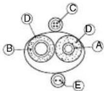 LG ARUN50LL2 - Note: - 4
