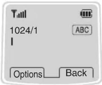 LG W3000A - • How to use in Capital mode - 1