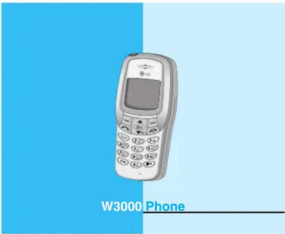 LG W3000A - WAP هاثف - 10