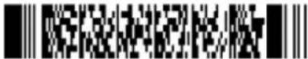 Posiflex HC-1521IR-Pro - Disabling of readable codes - 21