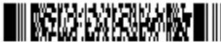 Posiflex HC-1521IR-Pro - Enabling of readable codes - 13