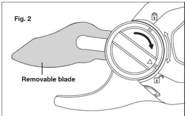Fig. 2 Removable blade