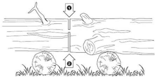 Sun Joe SWJ699E-RM - - Bucking a log - 2